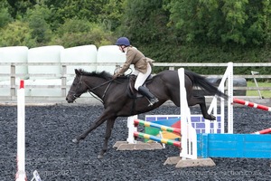 Class 3 -  Fences not above 2'3